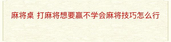 麻将桌 打麻将想要赢不学会麻将技巧怎么行