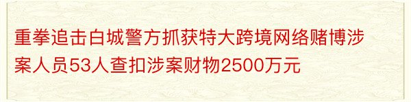 重拳追击白城警方抓获特大跨境网络赌博涉案人员53人查扣涉案财物2500万元